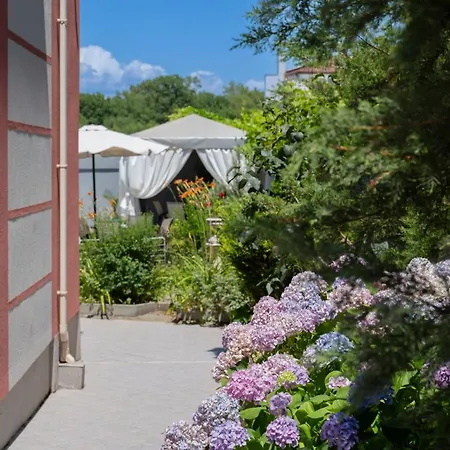 Vermoni 21 3* تشيرنوموريتس