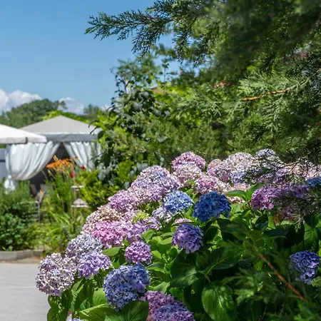 Vermoni 21 3* Черноморец